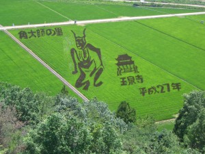 田んぼアート