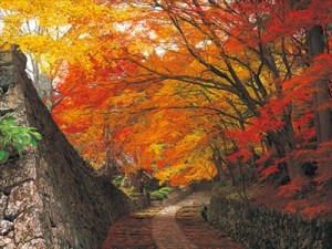 湖東三山