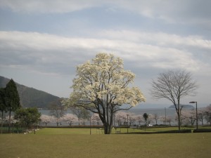 IMG_5699
