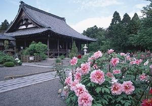 総持寺のボタン2016